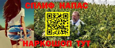 гашик Лесосибирск