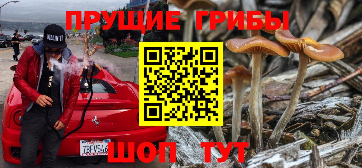 Псилоцибиновые грибы Magic Shrooms Зеленогорск