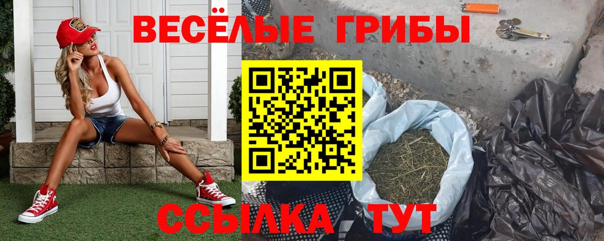 Псилоцибиновые грибы ЛСД  где купить наркоту  Зеленогорск  Вход с VPN  Галлюциногенные грибы Cubensis 
